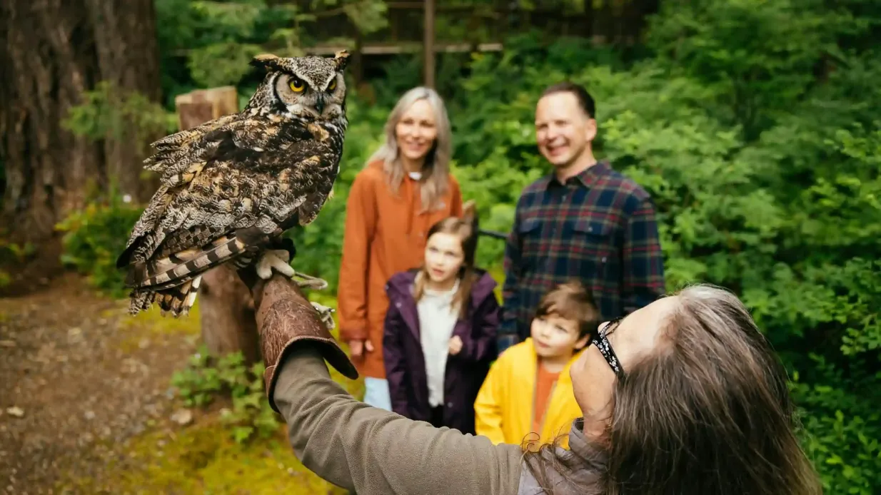 Capilano Suspension Bridge Park: Entry Ticket