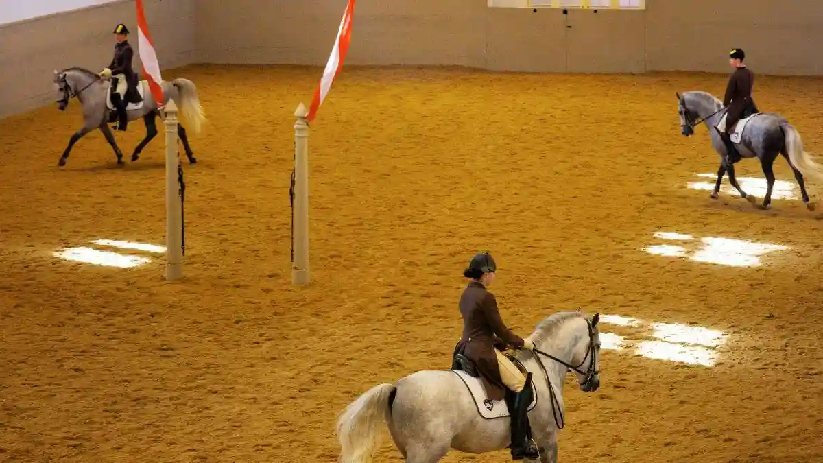 Entrenamiento con caballos en la Escuela Española de Equitación
