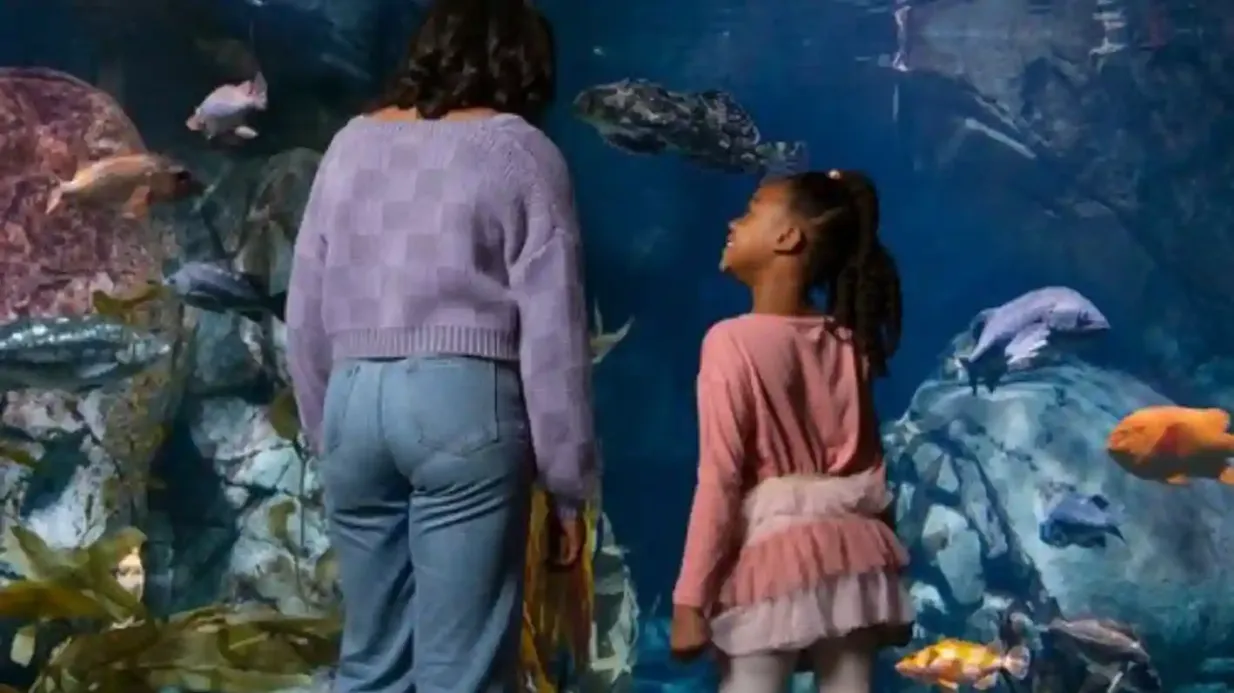 Aquarium of the Pacific: Eintritt ohne Anstehen Bereitgestellt von Aquarium of the Pacific
