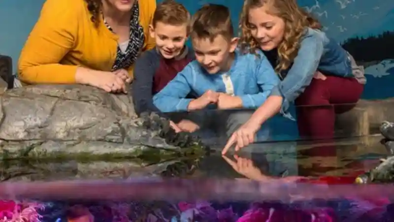 SEA LIFE Charlotte-Concord: Entry Ticket Provided by SEA LIFE Charlotte LLC