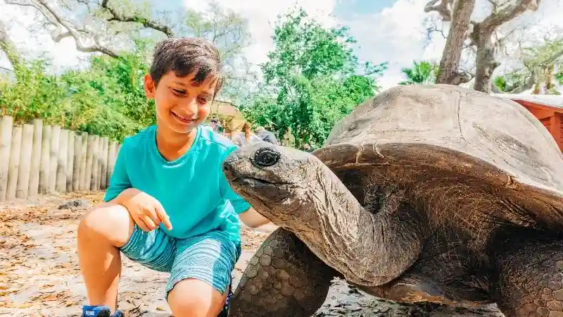 ZooTampa a Lowry Park: Biglietto con accesso rapido Fornito da ZooTampa at Lowry Park