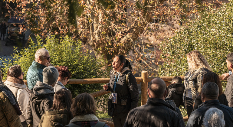 The Essential Free Tour of Sintra