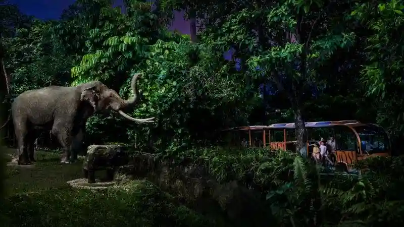 Singapore Night Safari with Tram Ride Provided by Tiqets International B.V.