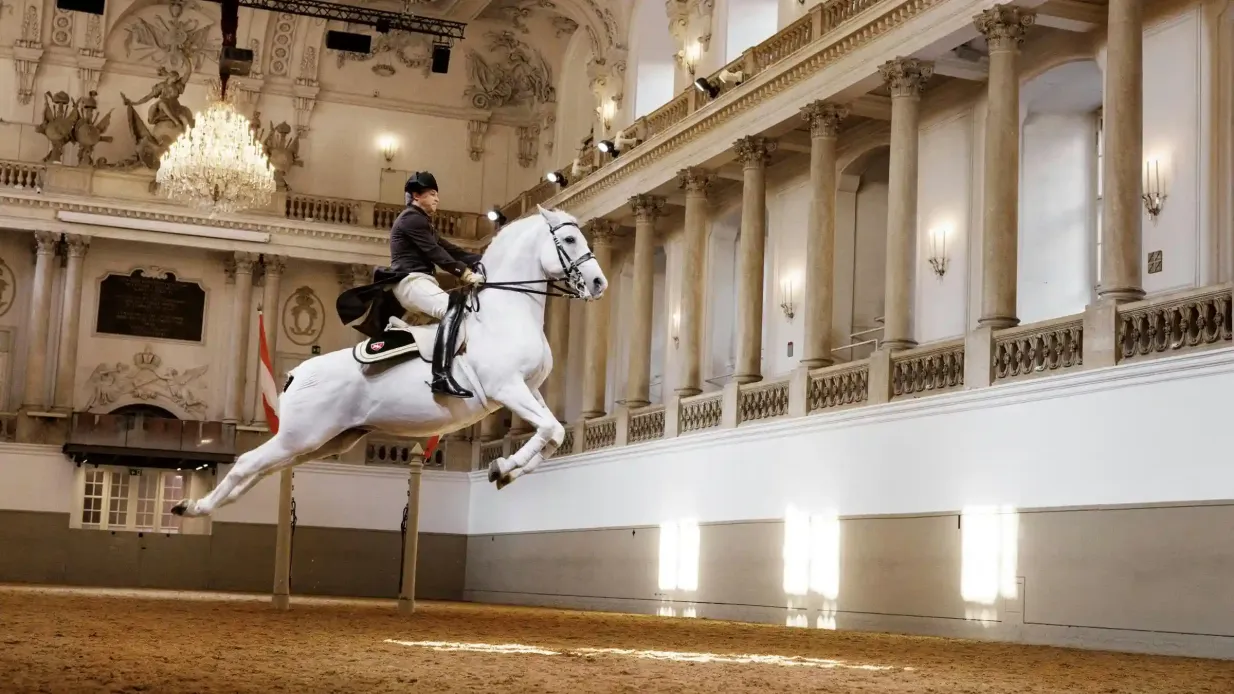 Lipizzaner-Vorstellung in der Spanischen Hofreitschule