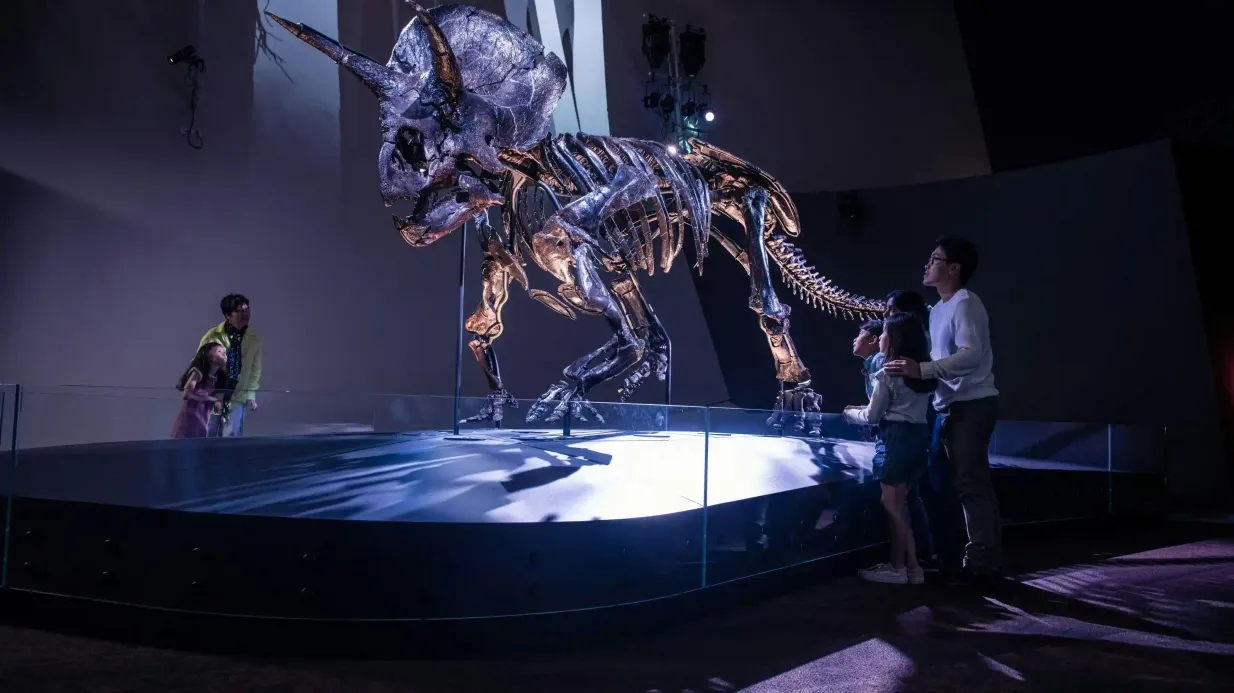 Melbourne Museum: Entry Ticket