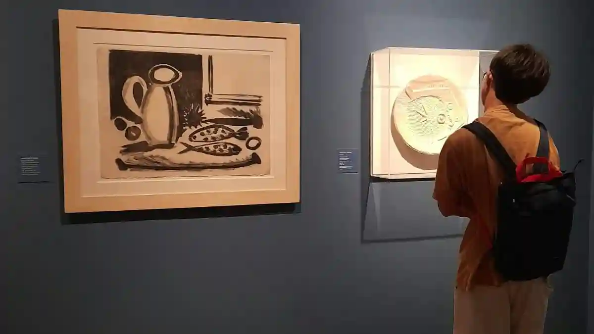 Musée-maison natale de Pablo Picasso : Billet d'entrée Fournie par Ayuntamiento de Málaga