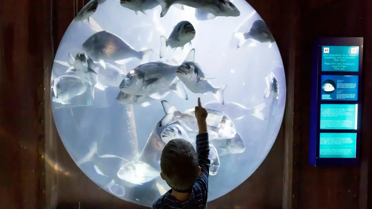 SEA LIFE Speyer: bilhete de entrada Organizado por Tiqets International B.V.