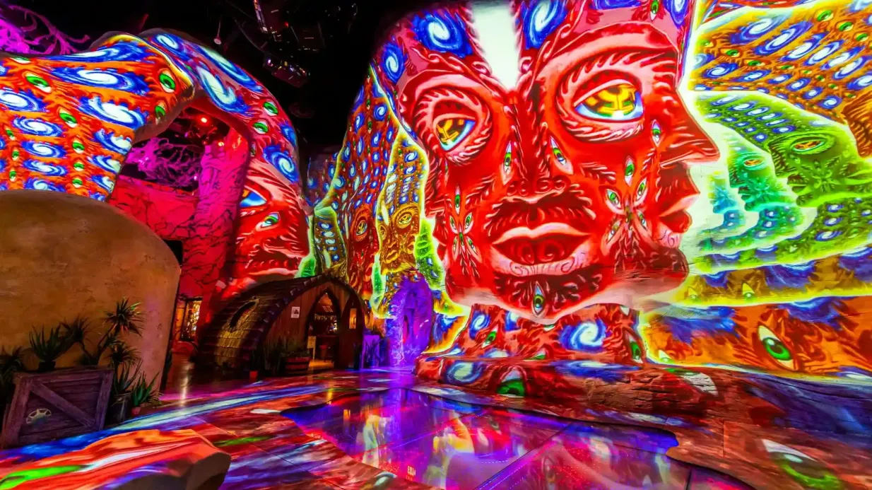 Omega Mart di Meow Wolf: Biglietto d'ingresso