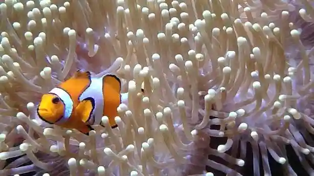 Acuario de Lanzarote: Entrada sin colas Operado por AQUARIUM DE COSTA TEGUISE LANZAROTE S.L.