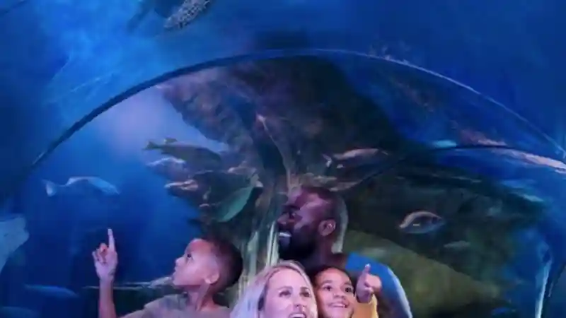 SEA LIFE Arizona: Entry Ticket Provided by SEA LIFE US LLC Sea Life Arizona Aquarium