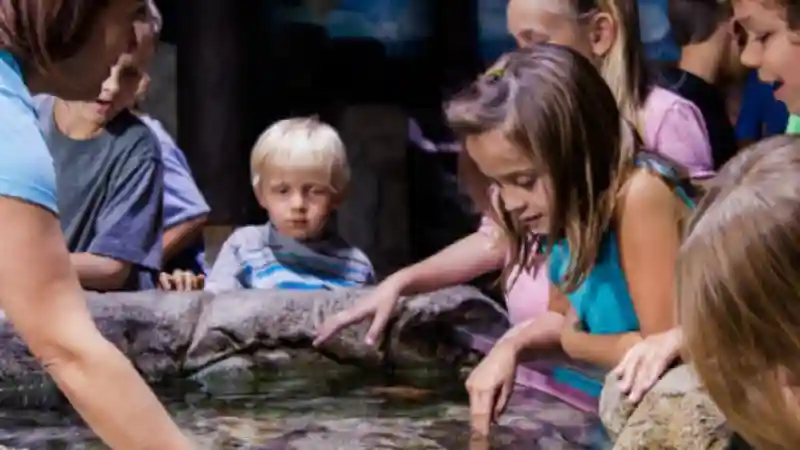 SEA LIFE Paris Aquarium Provided by Merlin Entertainments Paris