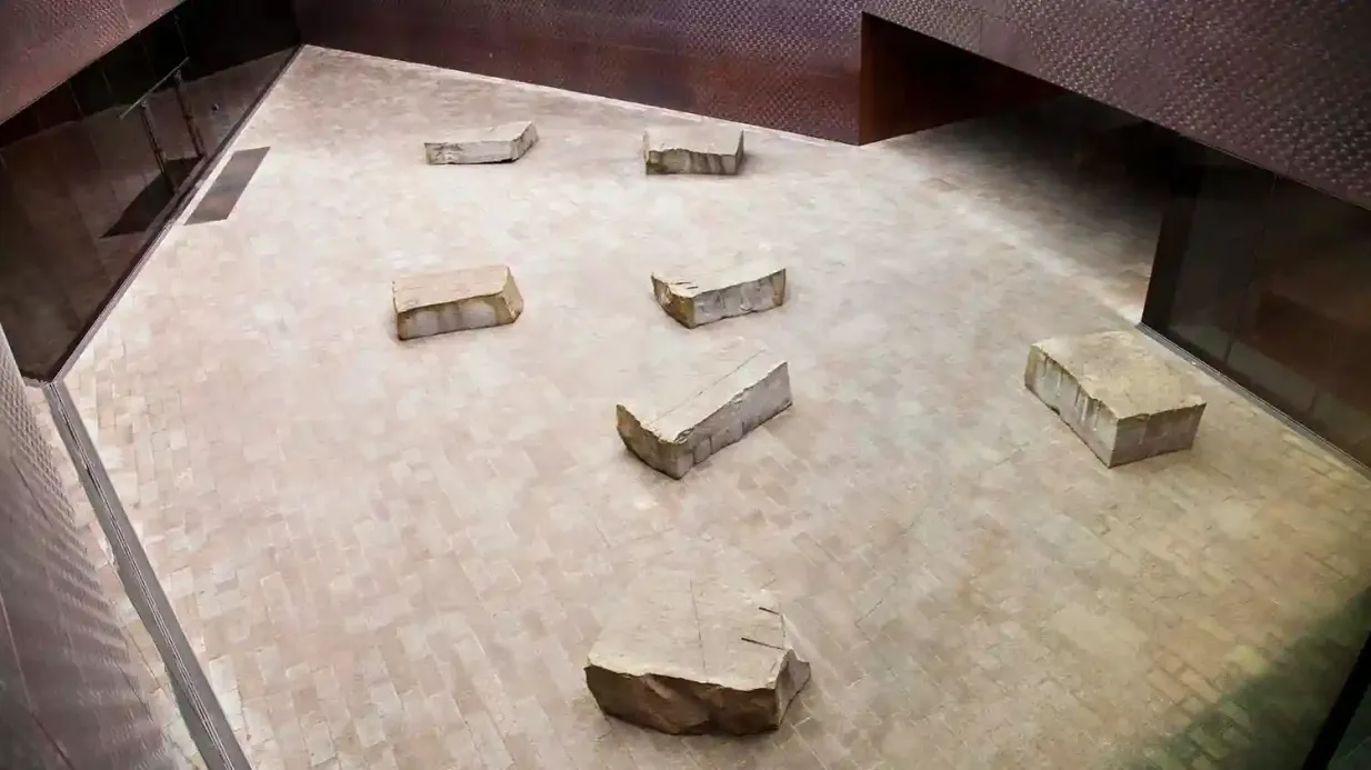 Museu de Young: bilhete de entrada