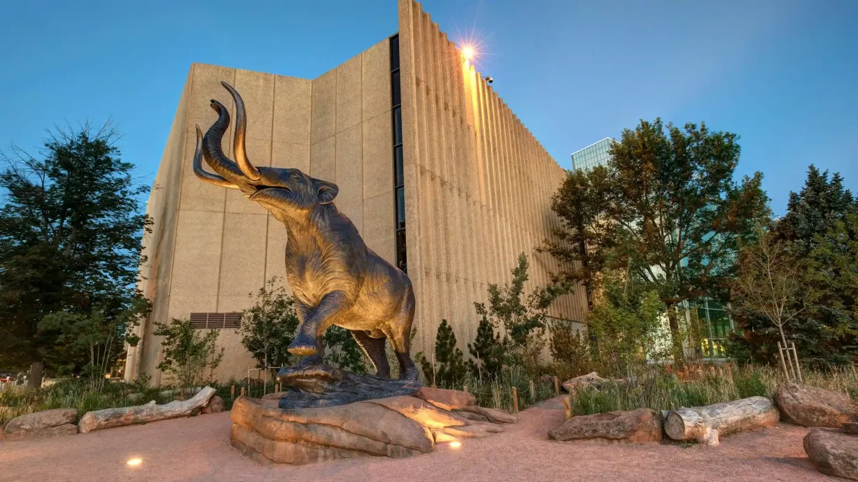 Denver Museum of Nature & Science: Entry Ticket Provided by Denver Museum of Nature & Science