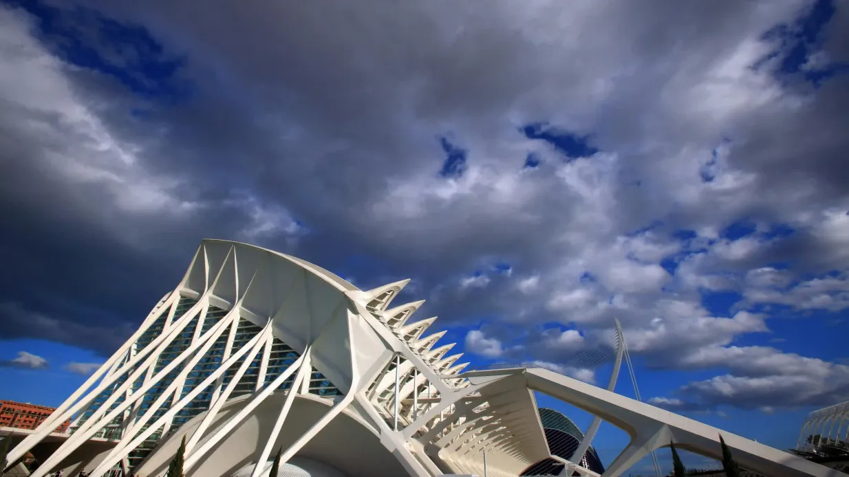 Museo della scienza a Valencia: Biglietto salta-coda