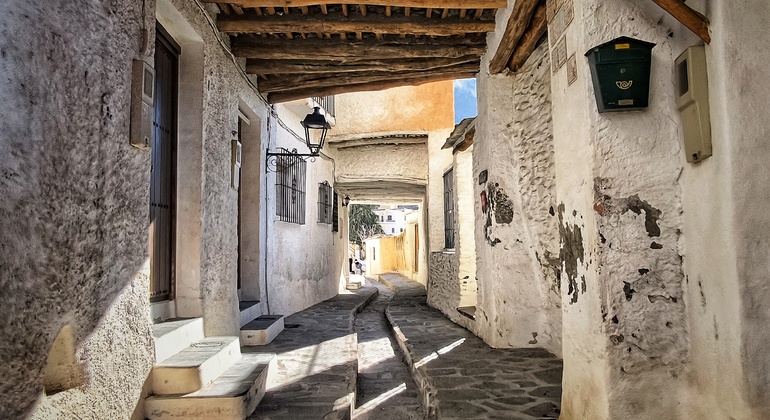 Excursão privada às Aldeias Brancas de Granada Espanha — #4