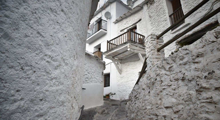 Excursão privada às Aldeias Brancas de Granada Espanha — #5