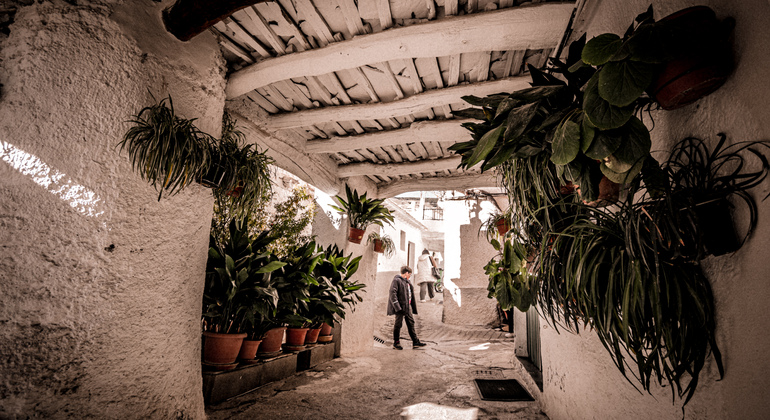 Excursão privada às Aldeias Brancas de Granada Espanha — #8