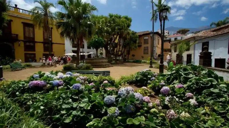 Tenerife Dragon Tree and Botanical Gardens Provided by Parque del Drago - Icodtesa