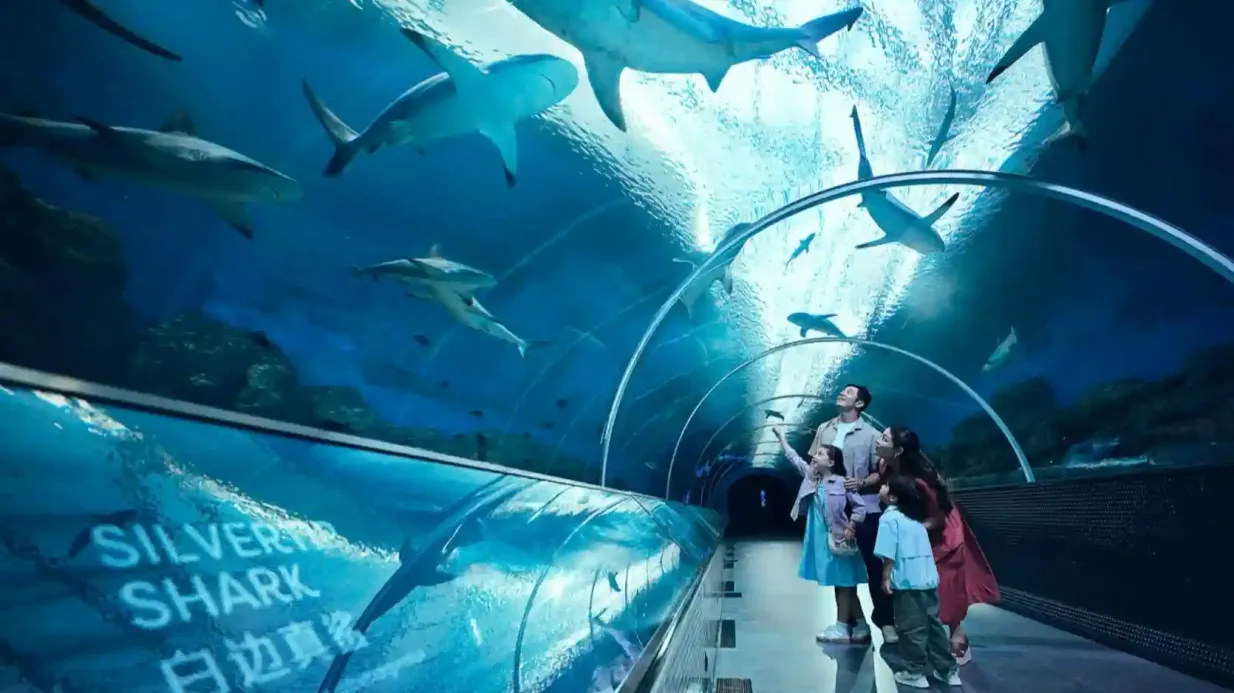 Ozeanarium Singapur: Eintrittskarte