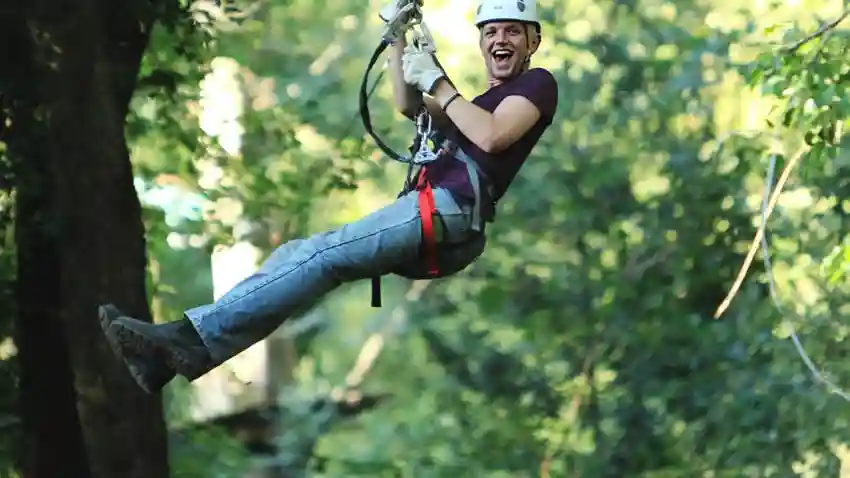 Treetops Adventure : Belgrave Park Fournie par TREES ADVENTURE HOLDINGS PTYLTD