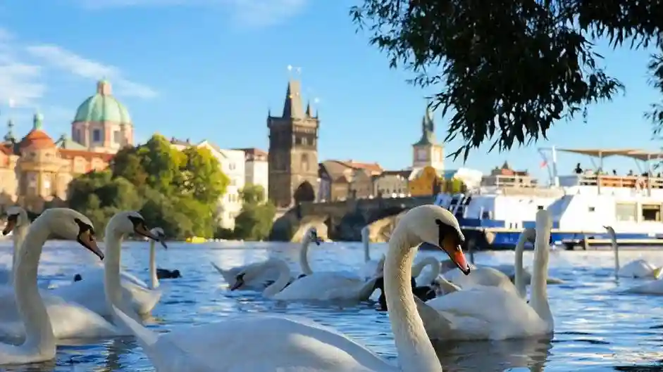 Prague : Croisière fluviale de 50 minutes + Guide interactif en ligne Fournie par Prague Boats