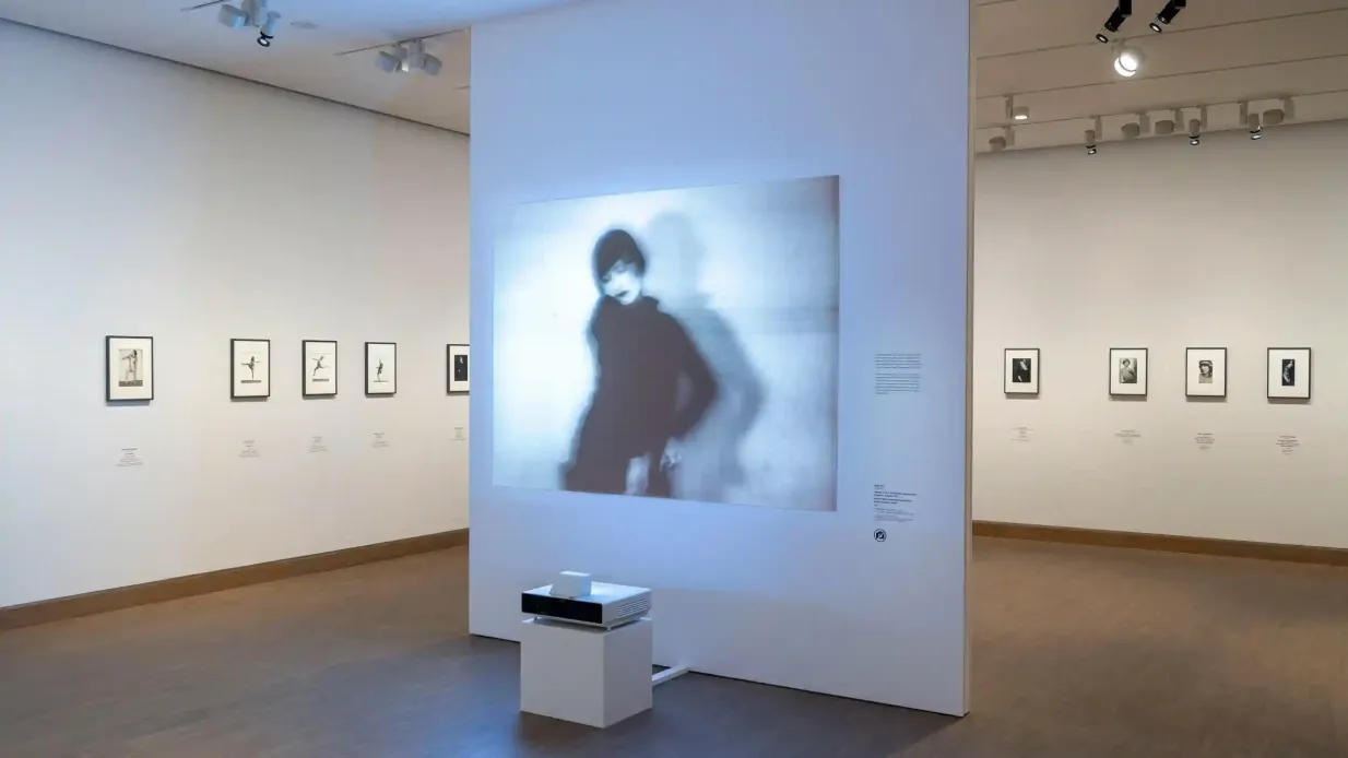 Albertina Modern: Entry Ticket