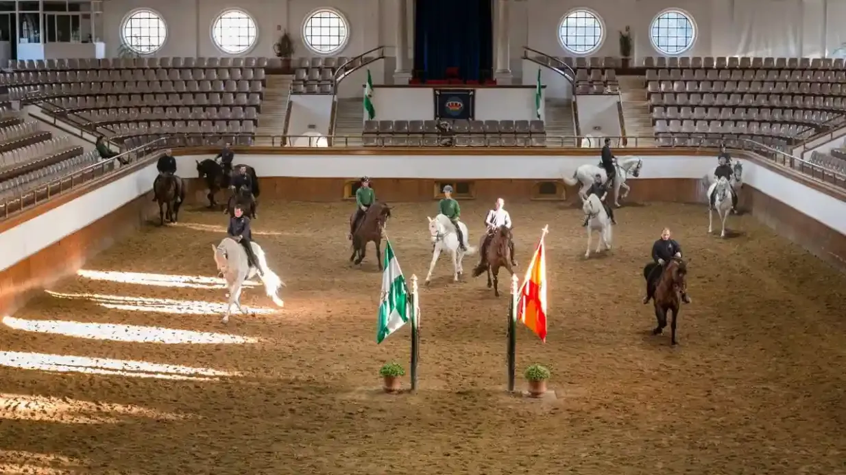 Royal Andalusian School of Equestrian Art: Full Visit + Optional VIP Upgrade Provided by Fundación Real Escuela Andaluza Del Arte Ecuestre