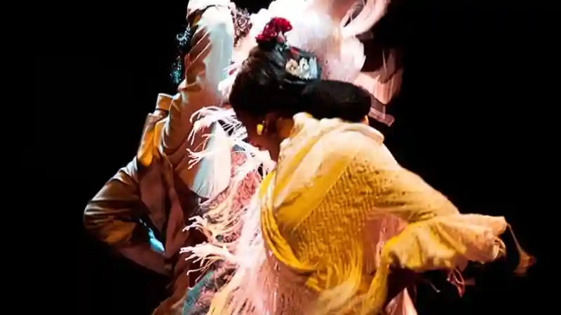 Musée de la danse flamenco : Billet d'entrée + Puro Spectacle de flamenco
