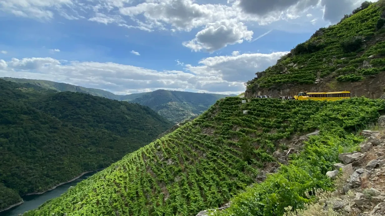 Tren turístico de la Ribeira Sacra Operado por Aba Sacra - Carmen Vazquez Piñeiro