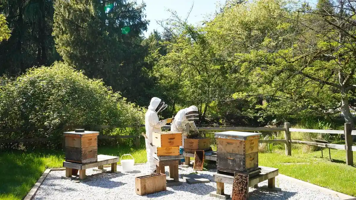 Botanischer Garten VanDusen: Eintrittskarte