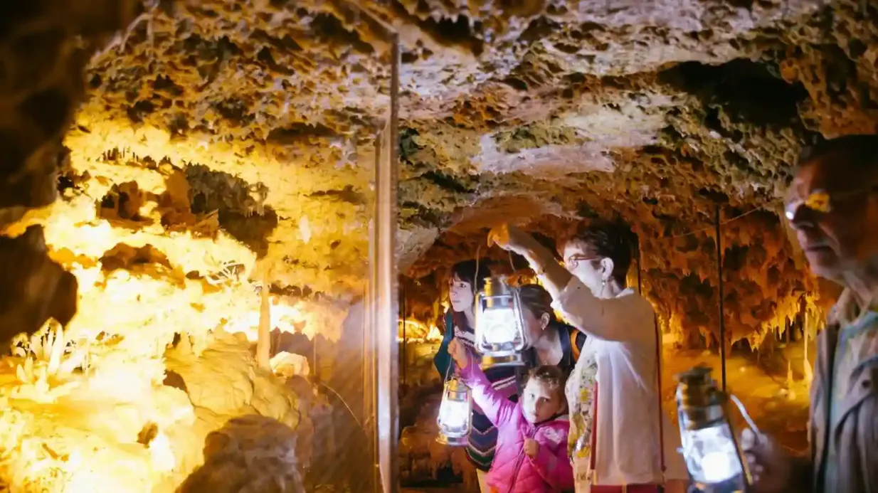 The Grand Roc Cave: Guided Tour Provided by Semitour Périgord