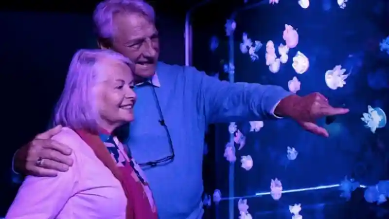SEA LIFE Grapevine Provided by SEA LIFE US LLC SEA LIFE Dallas Aquarium