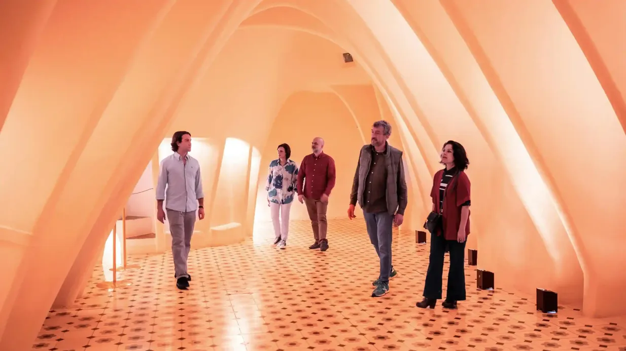 Casa Batlló : Billet standard pour la soirée (bleu)