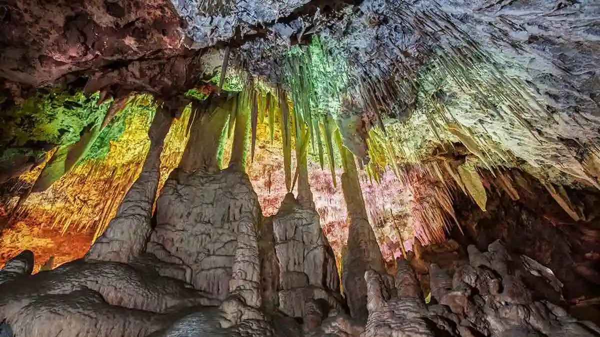 Dinosaurland & Caves dels Hams: Combo Ticket Provided by Dinos Invest S.L.