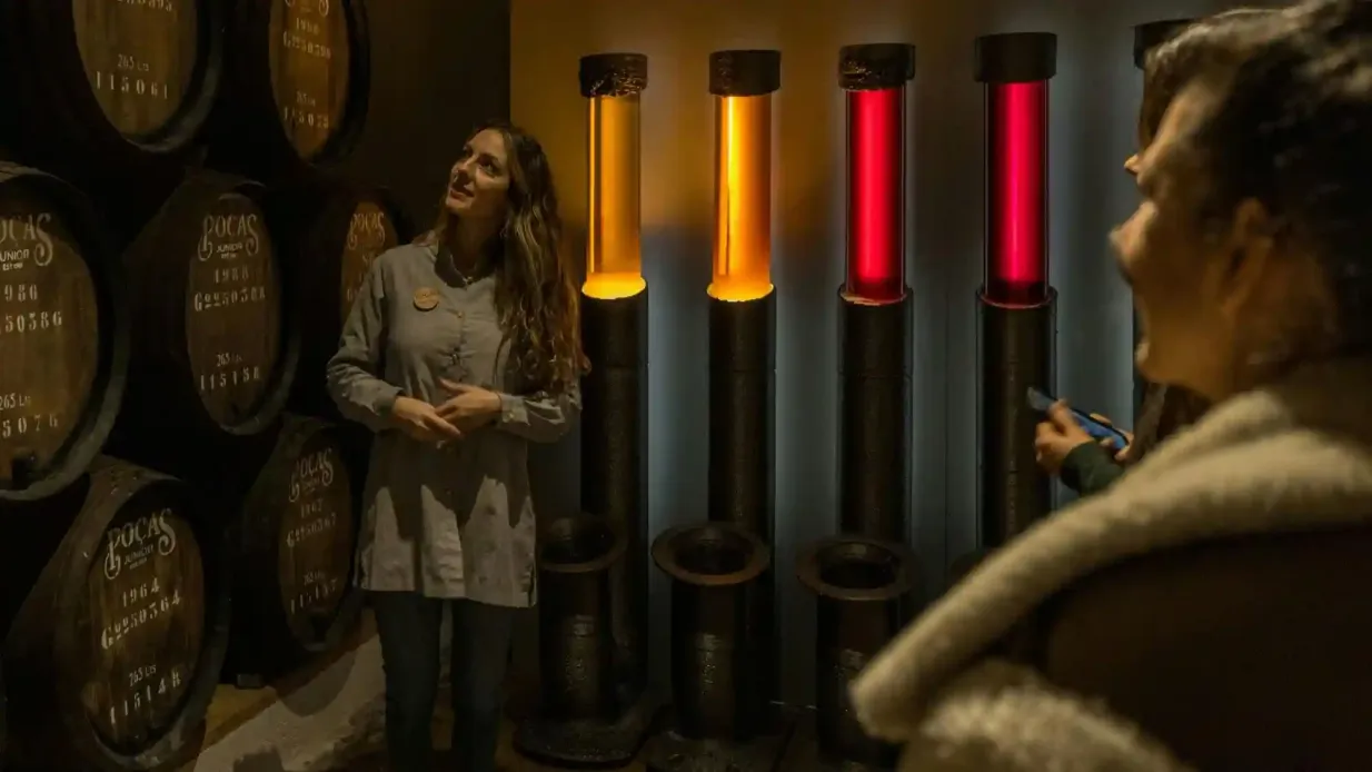 Grotte Poças: Visita guidata + degustazione di 3 vini di Porto Fornito da MANOEL D. POÇAS JUNIOR – VINHOS, S.A.