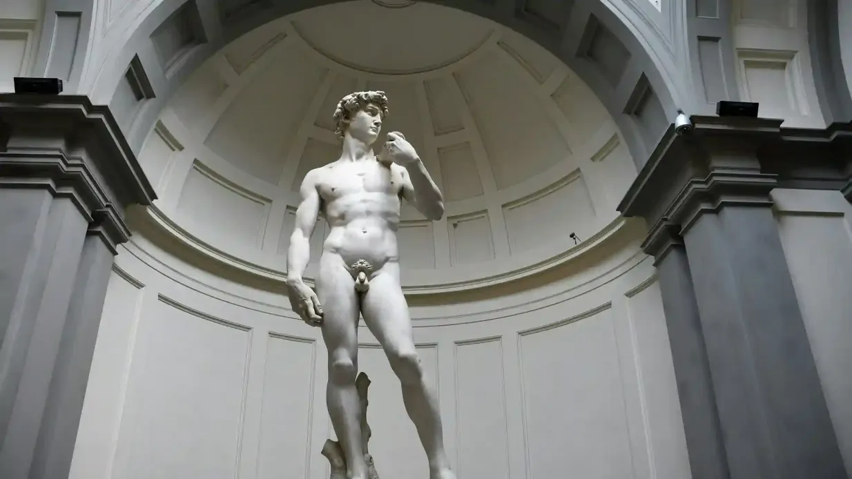 Galleria dell'Accademia  : Billet d'entrée prioritaire
