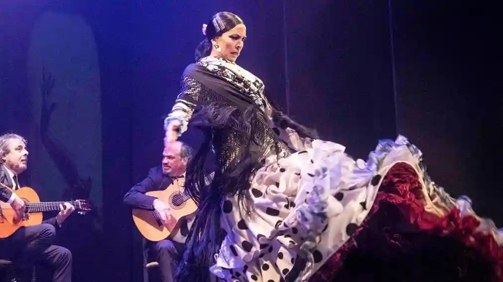 Teatro Flamenco Málaga: Flamenco-Show