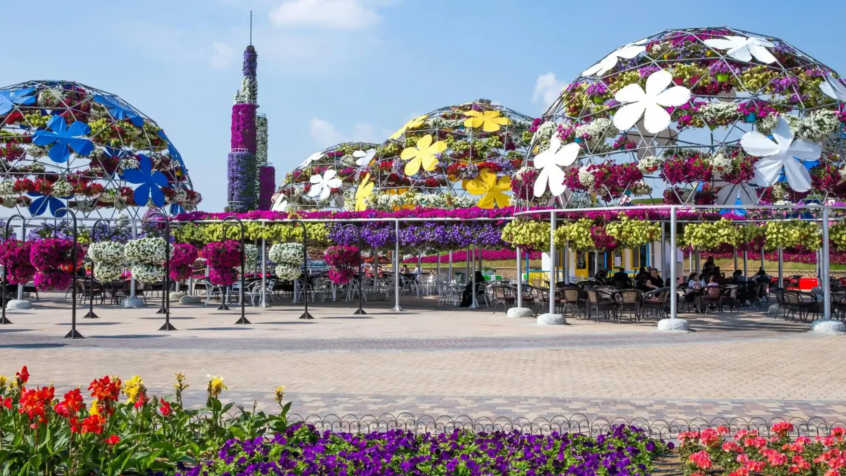 Dubai Miracle Garden: Eintrittskarte