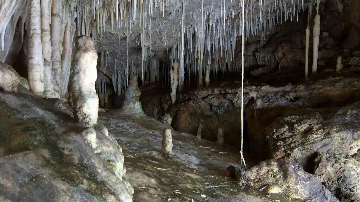 Grottes de Campanet: Billet coupe-file Fournie par SES COVES SL