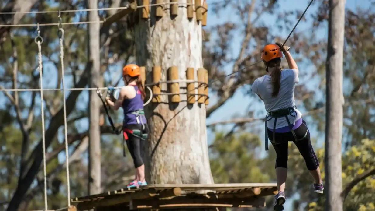 Treetops Adventure : Parc de Nowra Fournie par TREES ADVENTURE HOLDINGS PTYLTD