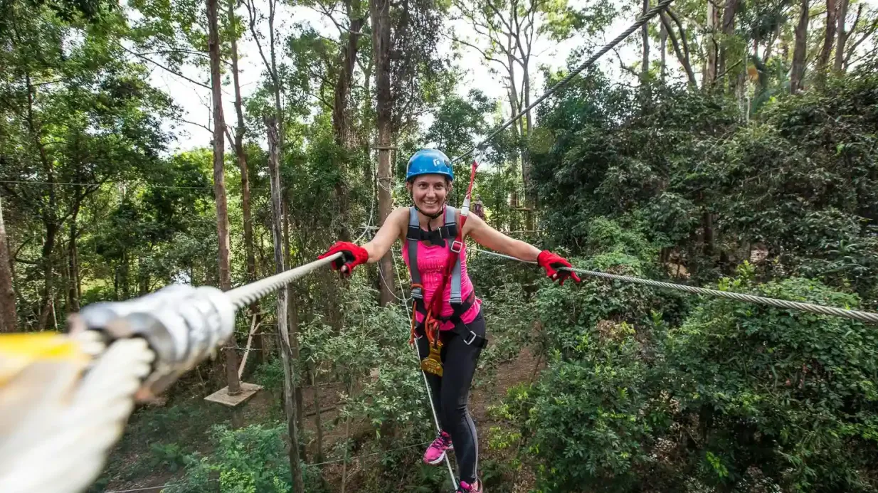 TreeTop Challenge à The Big Pineapple sur la Sunshine Coast Fournie par TreeTop Challenge
