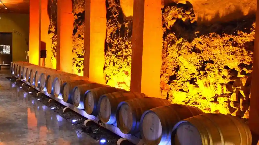 Bodegas Monje: Visita a la bodega + Cata de vinos Operado por Bodegas Monje SL