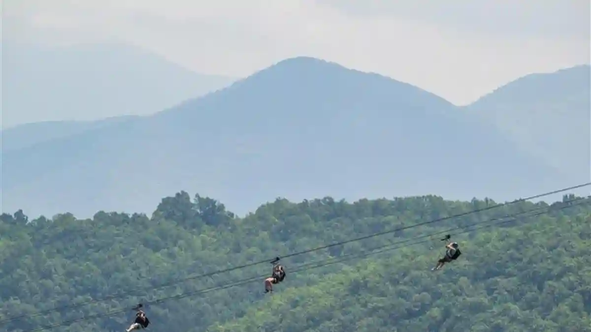 Parc d'aventure WildSide : Entrée + expérience MegaZip Fournie par WildSide Adventure Park
