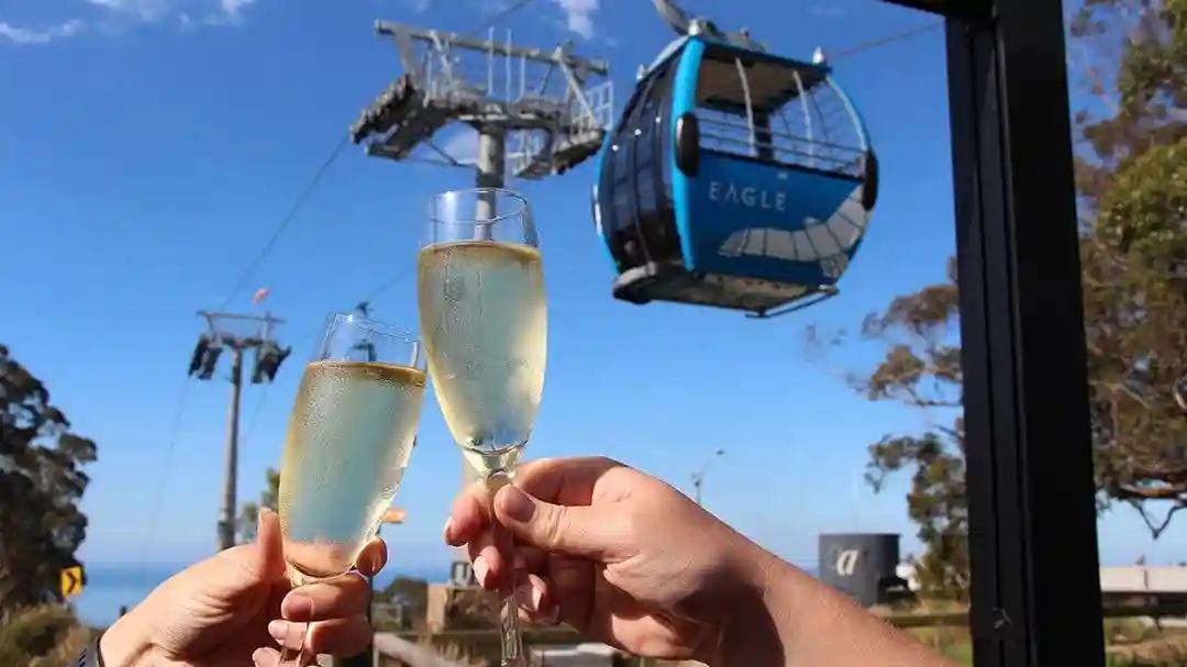 Arthurs Seat Eagle: Roundtrip Gondola Ticket + Drink Provided by Arthurs Seat Eagle