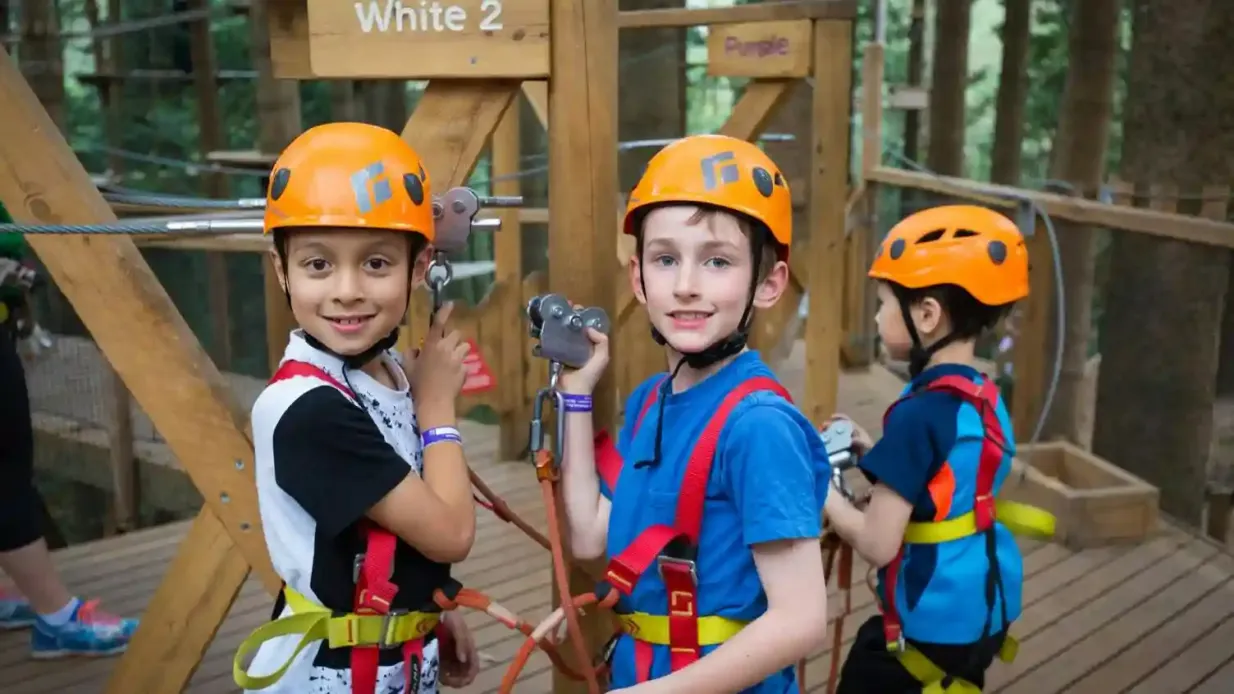Treetops Adventure - Les collines : Billet d'entrée Fournie par TREES ADVENTURE HOLDINGS PTYLTD