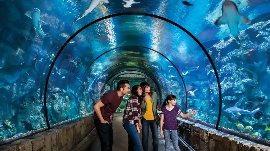 Shark Reef Aquarium at Mandalay Bay: Entry Ticket Provided by Shark Reef Aquarium at Mandalay Bay: Entry Ticket