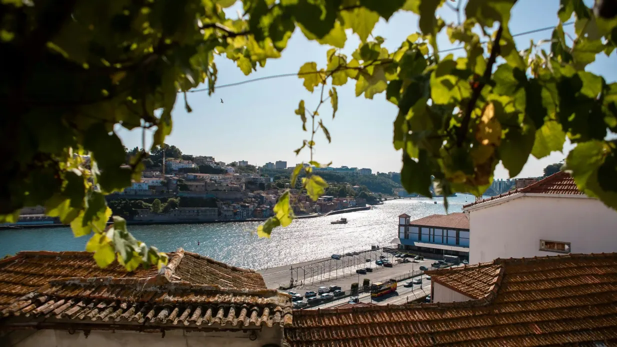 Porto: A Casa do Fado - Sao Joao Novo Fornito da Valsa das Silabas