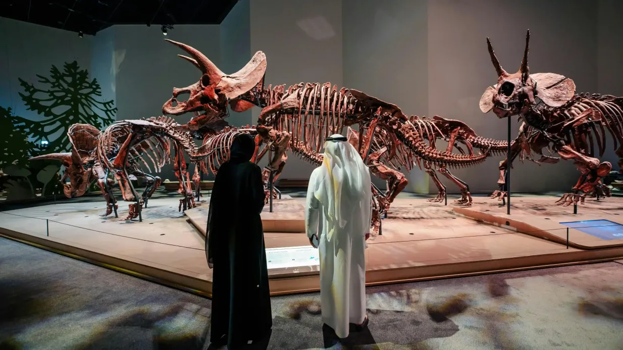 Naturhistorisches Museum Abu Dhabi: Eintrittskarte