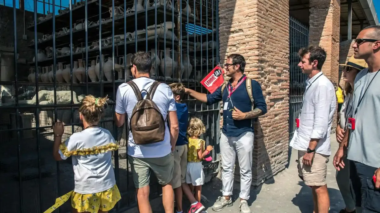 Pompeia e Monte Vesúvio: entrada + ida e volta de Nápoles