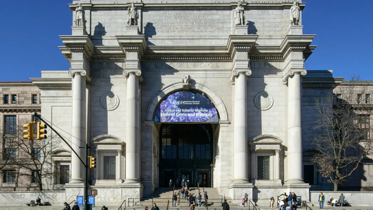 Museu Americano de História Natural (AMNH): Mais um bilhete
